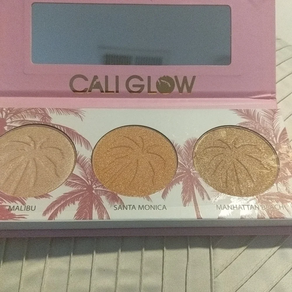 NWT Face Palette